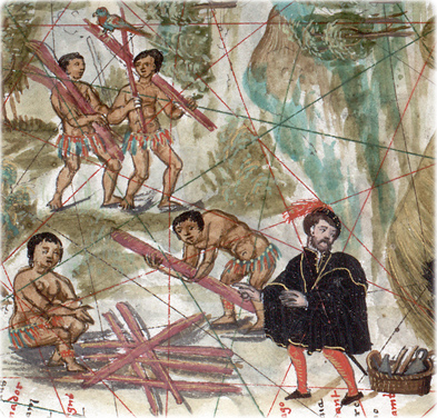 Pau brasil