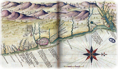 Pernambuco