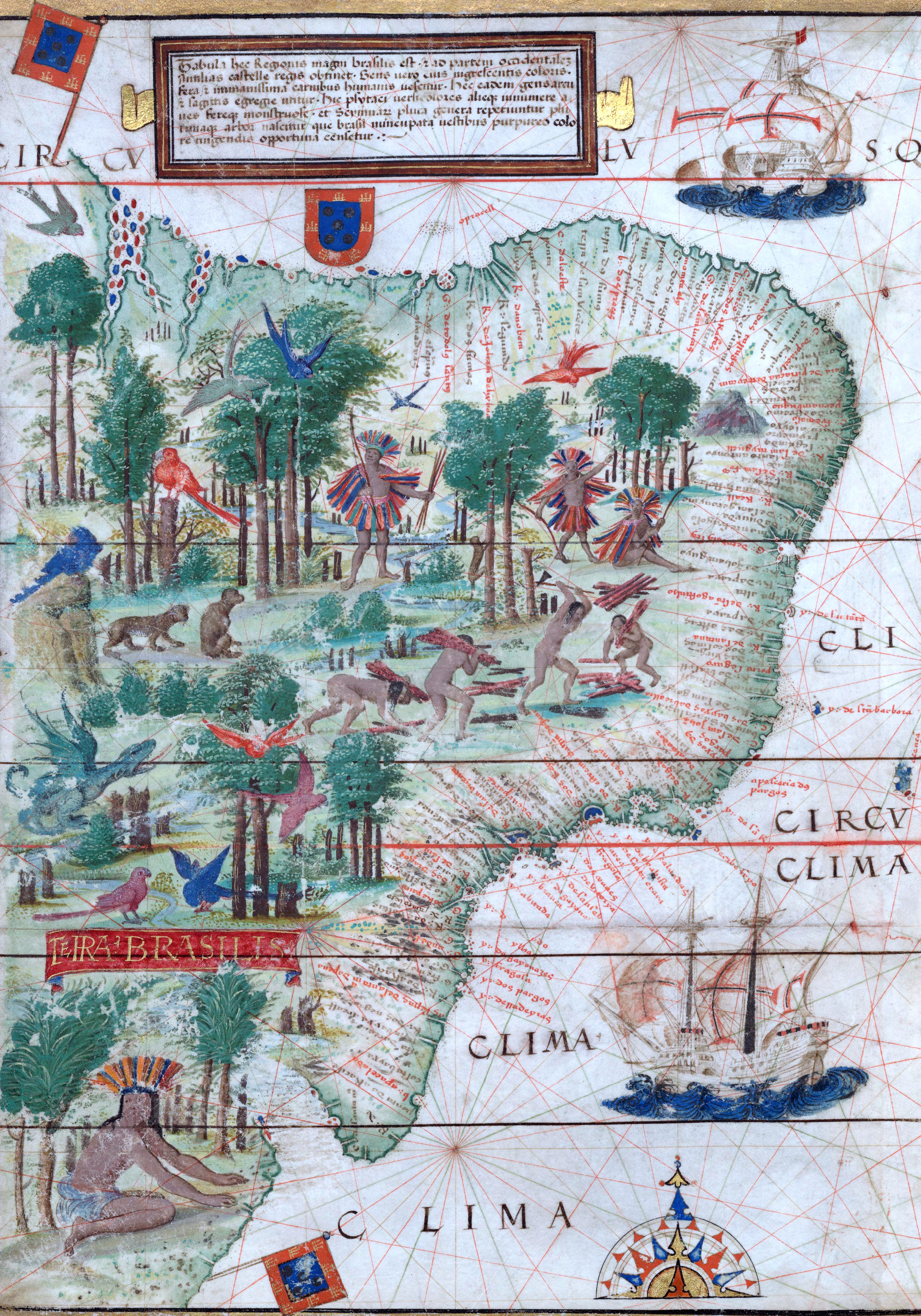 Terra Brasilis